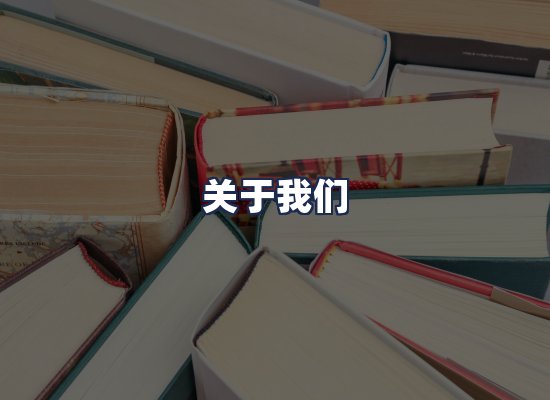 关于我们